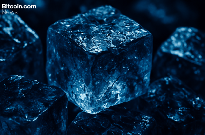  Bybit Study: 16 Blockchains Have Protocol‑Level Fund Freezing Capabilities