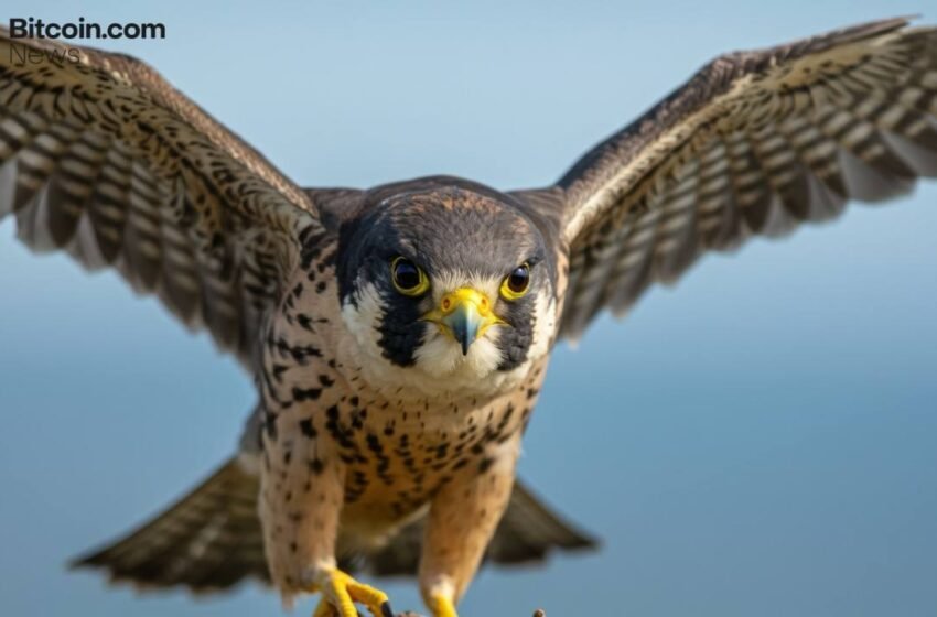  Falcon Finance Expands Collateral Set With $1B Centrifuge JAAA RWA Token