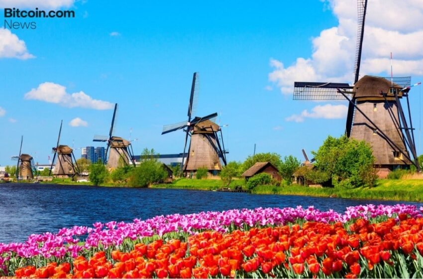  Dutch Bitcoin Asset Manager Blockrise Obtains MiCAR License for European Expansion