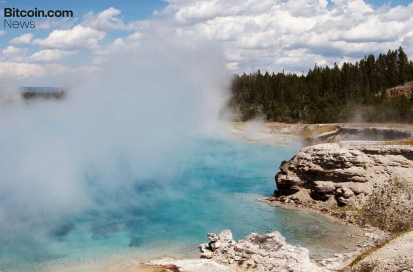  Delphi Digital: Institutional Crypto Appetite ‘Evaporated,’ Flows Down 90%