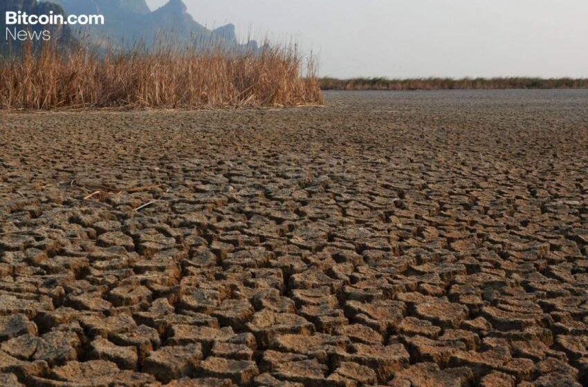  Mike McGlone’s Scorched Earth Prediction: $56K Bitcoin in the Horizon