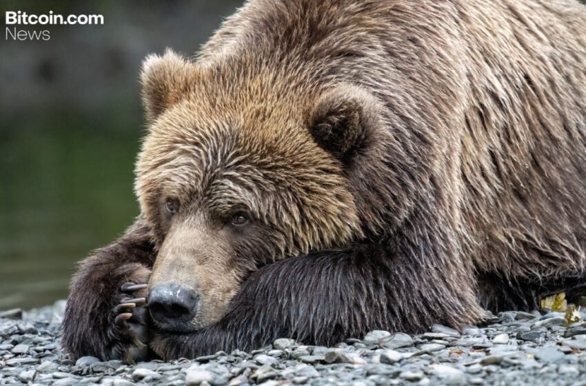  Van Eck: Investors Shed Bitcoin Bracing for a Bearish 2026