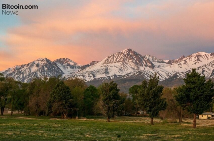  Avalanche’s RWA Ecosystem Strengthened: Liquidity Yield Token Offers Risk-Adjusted Returns with Zero Lockups