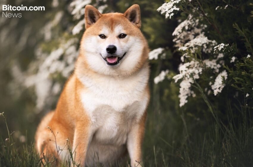  DOGE Launches Lazarus Signal, Rebukes Disbandment Reports