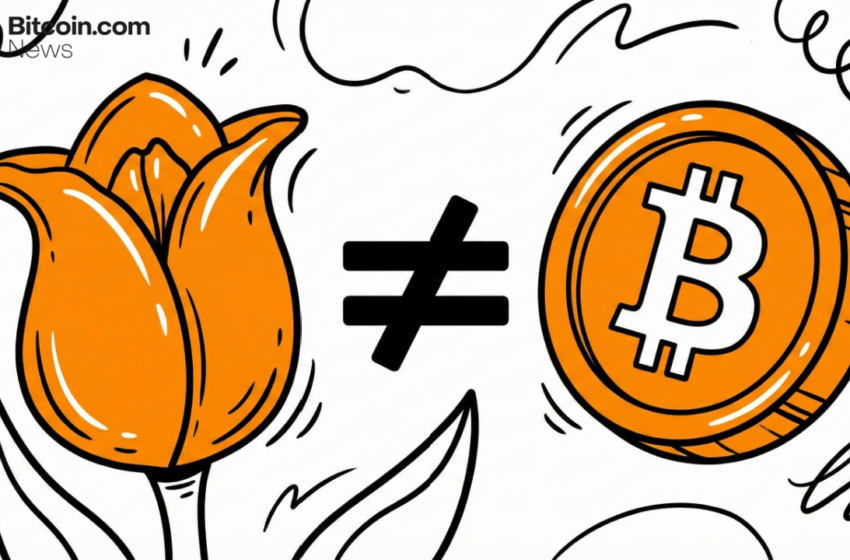  Why Bitcoin Isn’t a Digital Tulip — and Why It Will Never Be