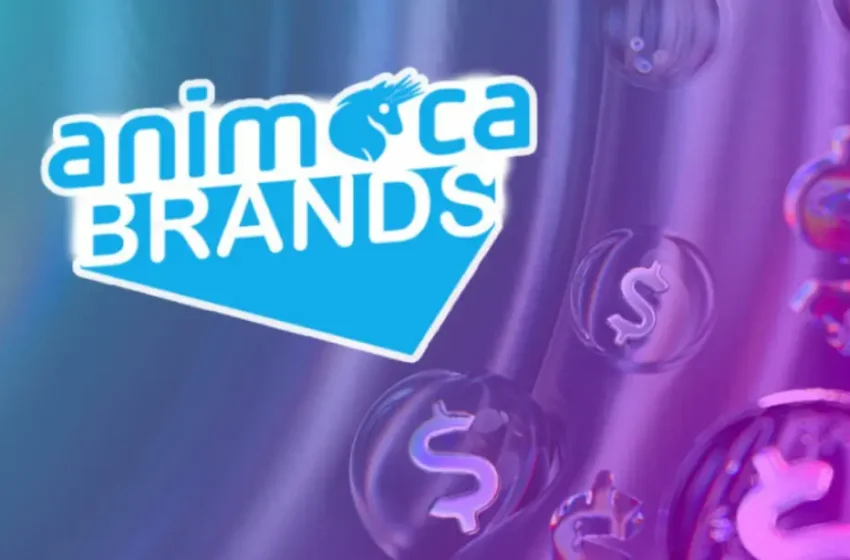  Rayls and Animoca Brands Team Up on Large Scale RWA Tokenization