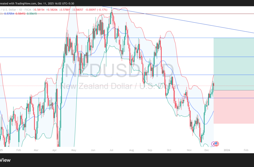  Long NZD/USD: strong rebound from multi-year support and dovish fed weakness point toward continued upside