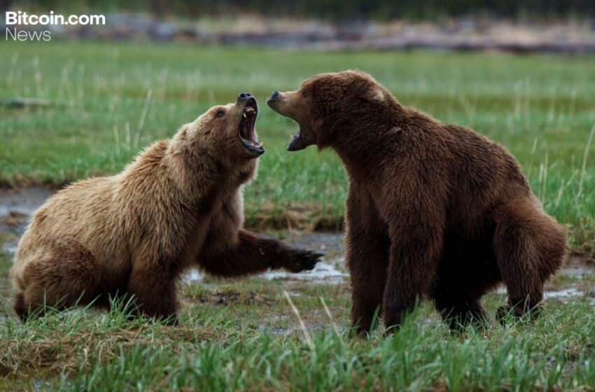  Bitcoin Loses $90K, Bears Pile Over $200 Million in Liquidations