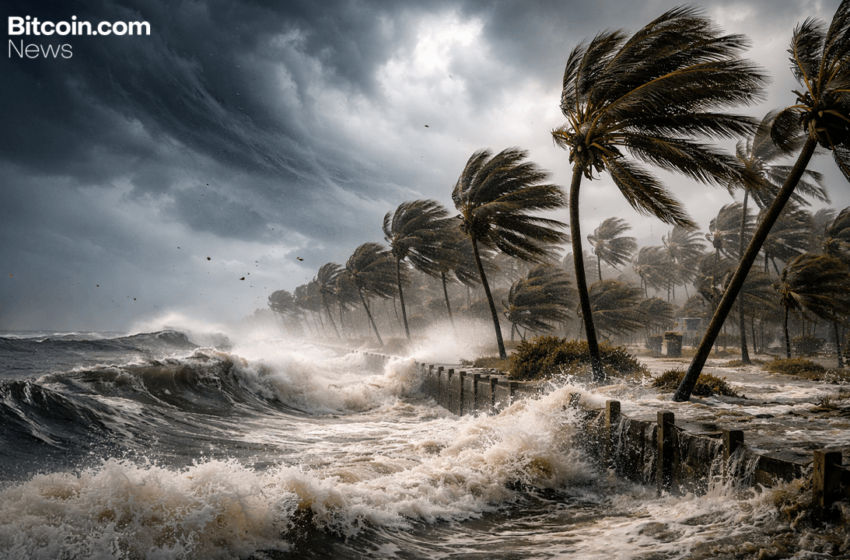  Bloomberg’s Mike McGlone Warns of Market ‘Hurricane’ in 2026