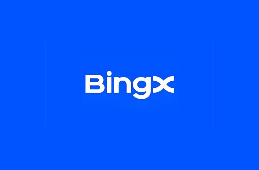  CPO of BingX: The Year That Redefined Growth in Crypto and 100% User Growth
