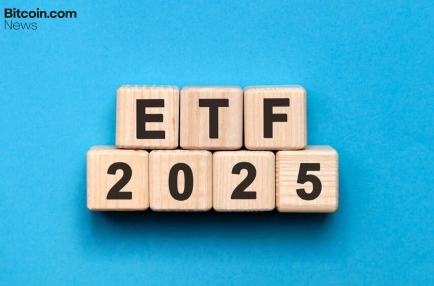  Bitcoin ETFs in 2025: A Year of Extremes, Rotation, and Resilience