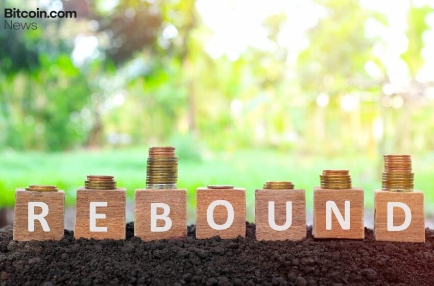  Bitcoin ETFs Rebound With $457 Million Inflow as Ether Outflows Persist