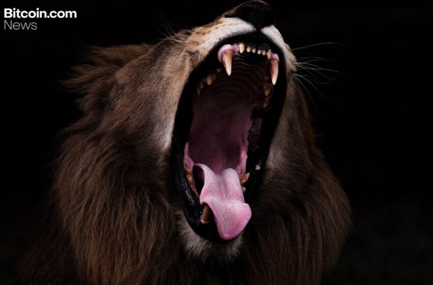  Bitcoin Eyes Explosive Rebound With Nasdaq-Size Moves Poised to Flip