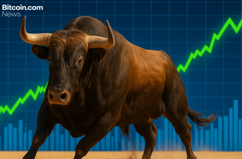  Bitwise Eyes Massive 2026—CEO Says ‘People Are Not Bullish Enough’