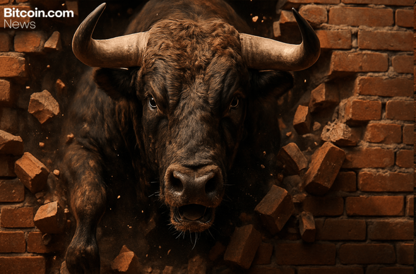  Bitcoin Price Watch: Bulls Push Back — But Is It Enough for a Breakout?