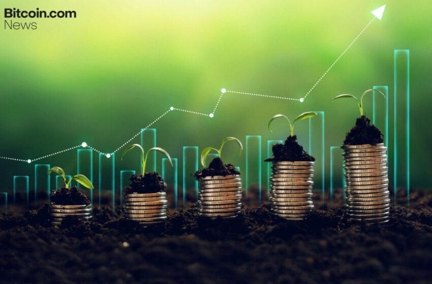  YO Labs Secures $10 Million to Build Unified Yield Infrastructure for Crypto Economy