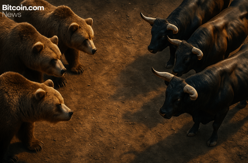  Bitcoin Price Watch: Bulls Stall Below $90K While Bears Lick Their Chops