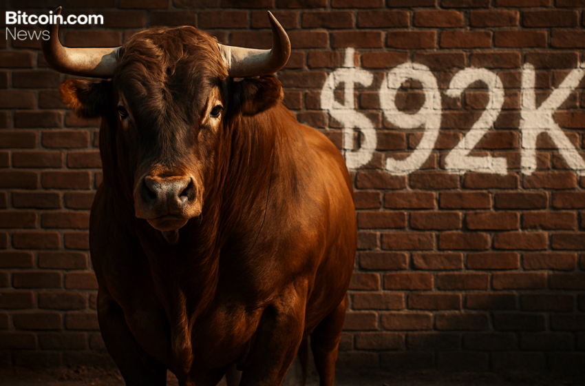 Bitcoin Price Watch: Bulls Stumble as $92K Barrier Holds Firm