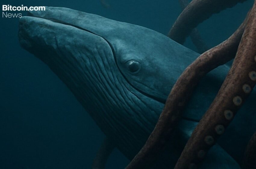  Kraken Crypto Exchange Launches Elite Service Program for Wealthy Digital Asset Investors