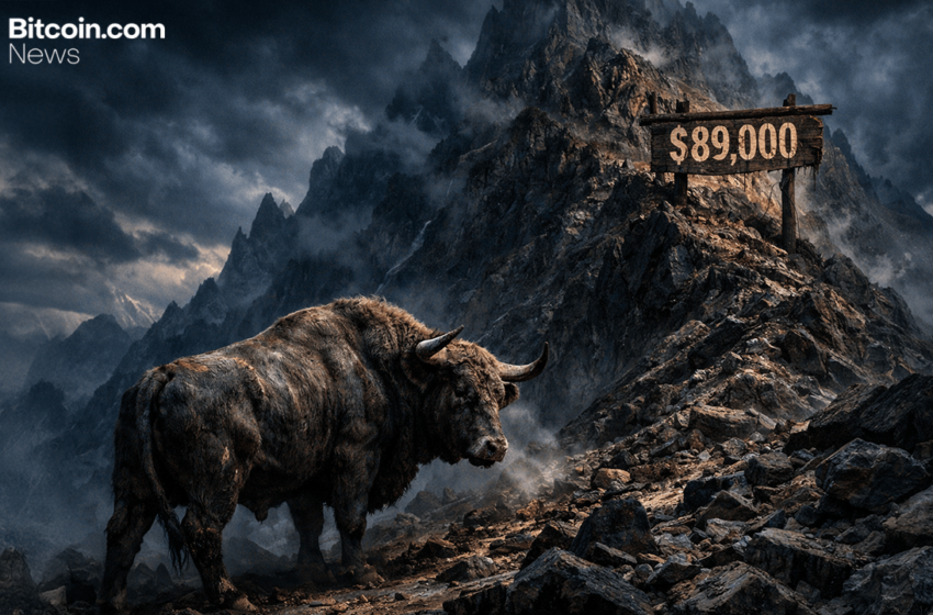  Bitcoin’s Resistance Nightmare: $89,000 Barrier Still Unbroken