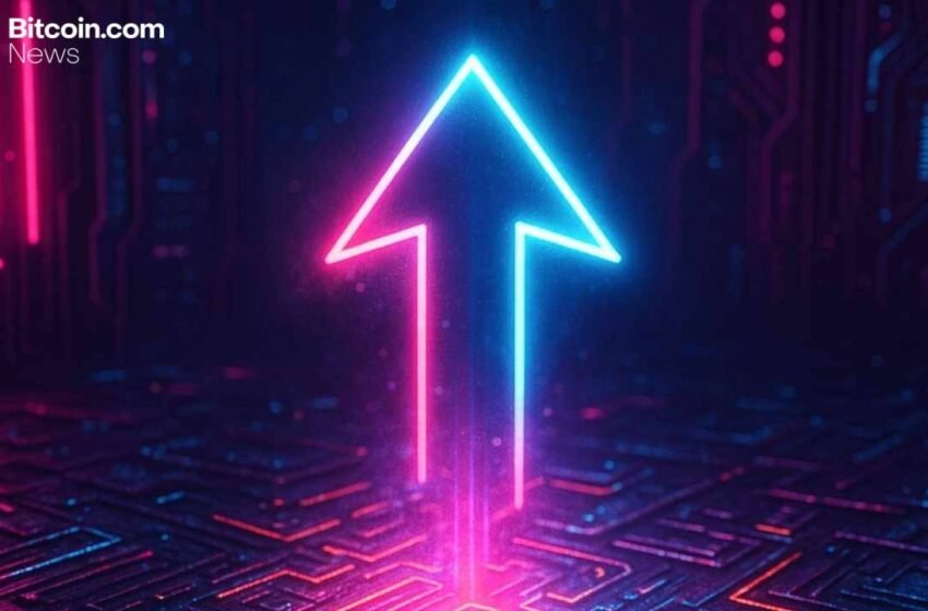  XRP Ledger’s Utility Profile Draws Fresh Attention From Ripple Executive