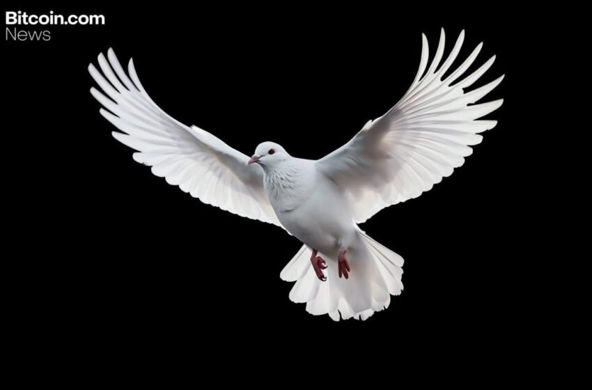  Arthur Hayes: Tether’s Gold and BTC Hoarding Anticipates Major Interest-Rate Cuts