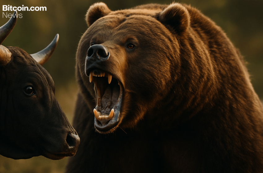  Bitcoin Price Drops to $81,000: Is the $100K February Dream Dead?