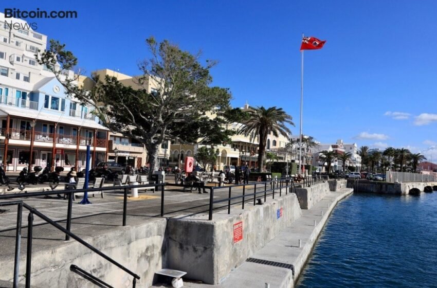  Bermuda’s Onchain Ambition: Pioneering Progress or Risky Overhaul?