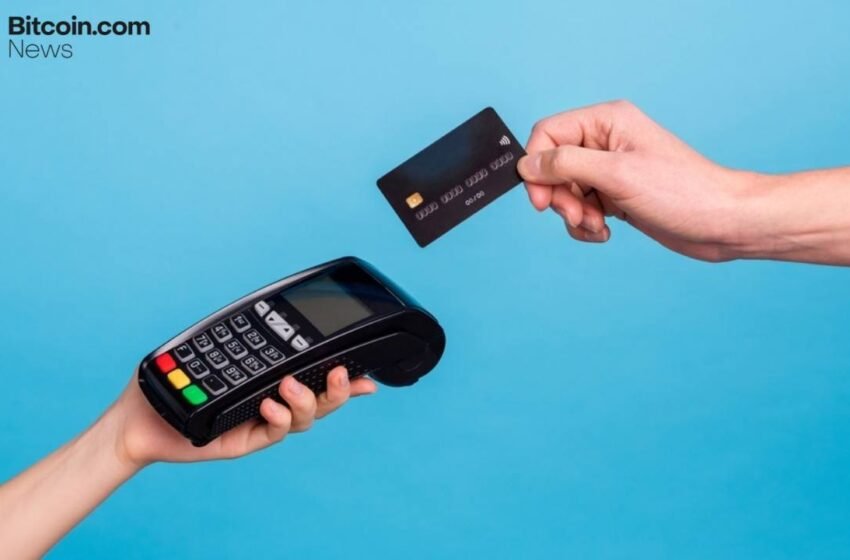  Bitcoin Leads Crypto Payments With 22% Market Share