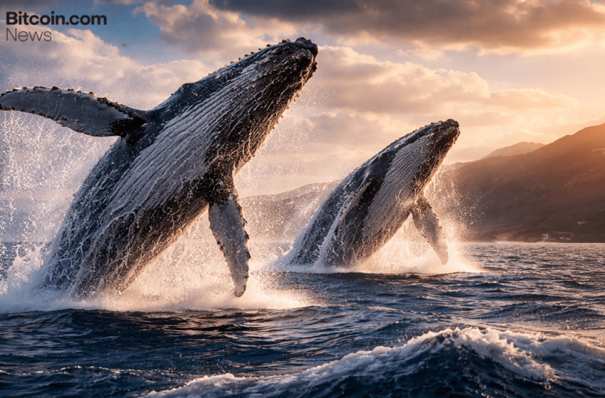  Some of Bitcoin’s Oldest Wallets Drove Dormant Spending Patterns in 2025