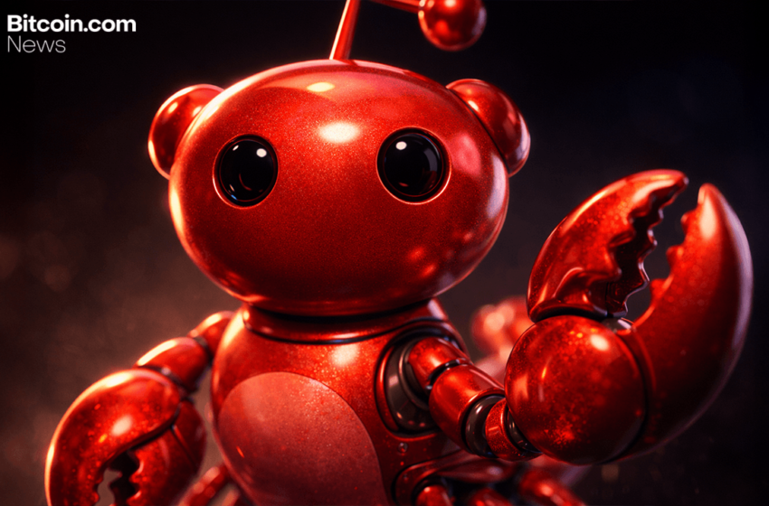  Moltbook: How AI Agents Ended up Building Their Own Social Network