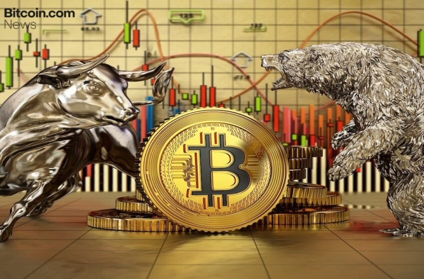  Bitcoin Will Be the Best Performing Asset of 2026, According to Jordi Visser – Here’s Why