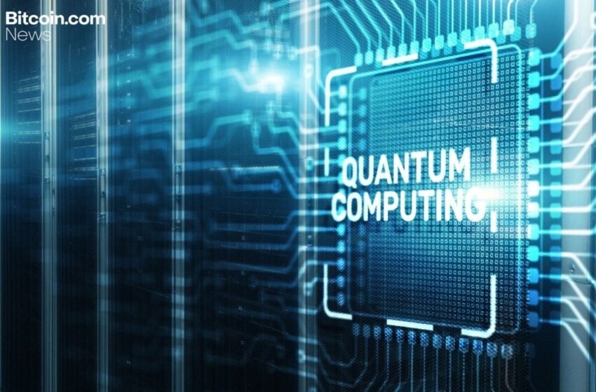  Is Quantum Computing Stalling Bitcoin? Analyst Willy Woo Points to Surging Dev Activity