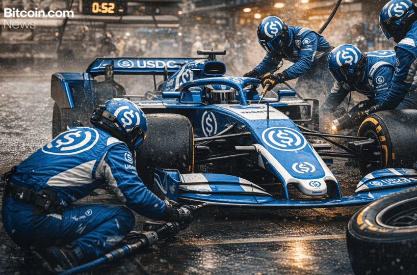  Stablecoin Market Takes a Breather After December’s $310B Peak