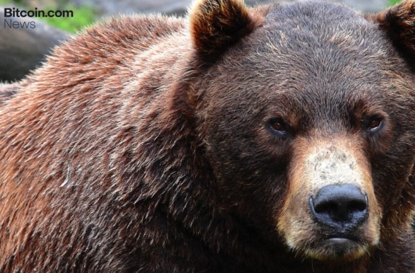  XRP Technical Outlook Flips Bearish as Psychological Support at $2.00 Tested