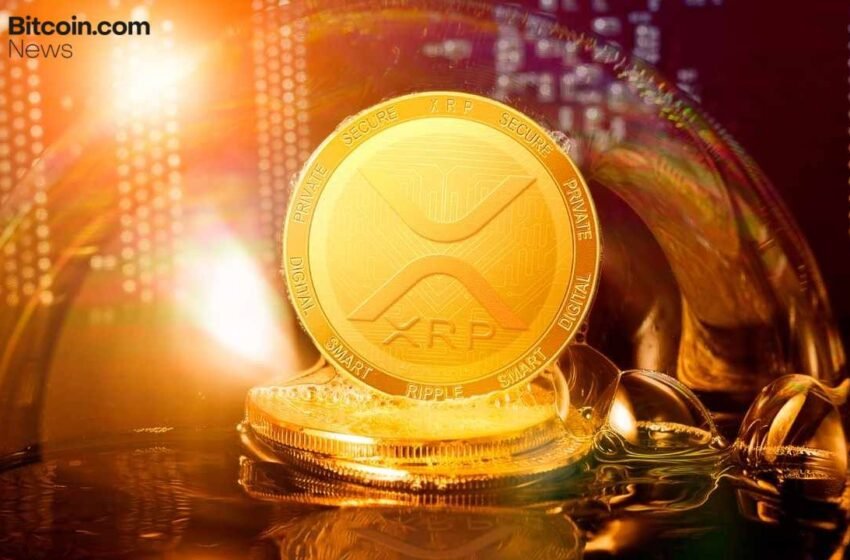  XRP Holds Critical Support as Whales Step Back — Is This the Calm Before a Violent Breakout?