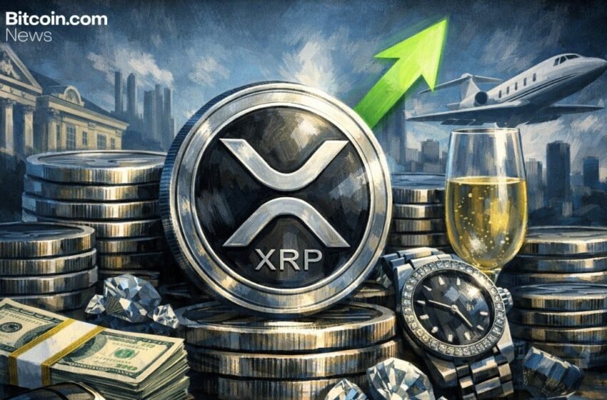  XRP Millionaire Wallets Are Growing — Whales Are Accumulating