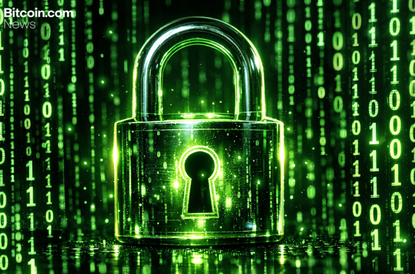  YZi Labs and Certik Launch $1M Security Grant for Startup Incubation Program