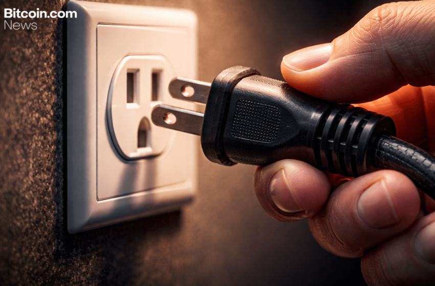  Aave Labs Pulls Plug on Avara Branding, Keeps Family Infrastructure