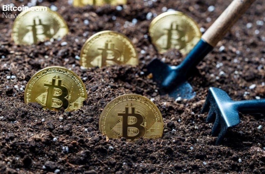  The Final Million: Why Experts Say 20 Million BTC Mined Cements ‘Provable Scarcity’