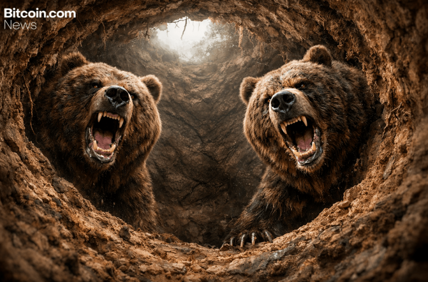  Cryptoquant Warns: Bitcoin Bear Market Bottom Not Here Yet