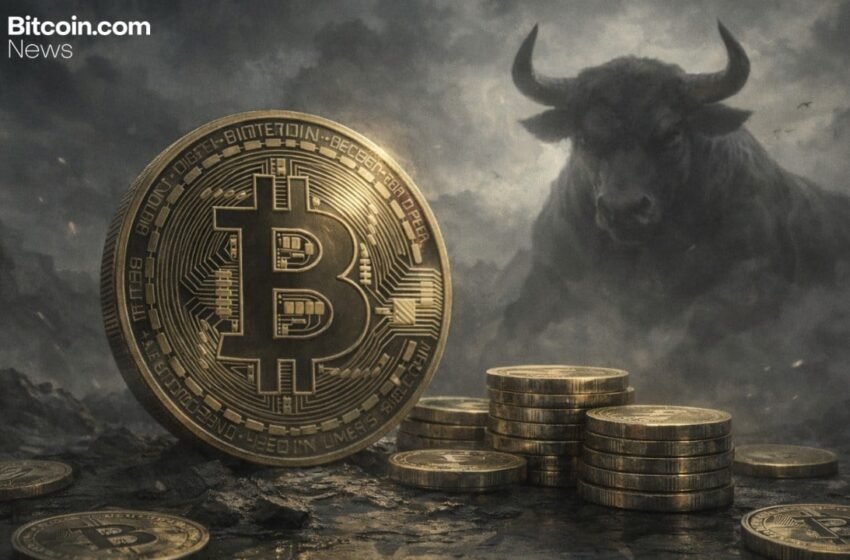  Bullish Sign? Bitcoin Nears Milestone as 100+ BTC Wallets Approach 20K