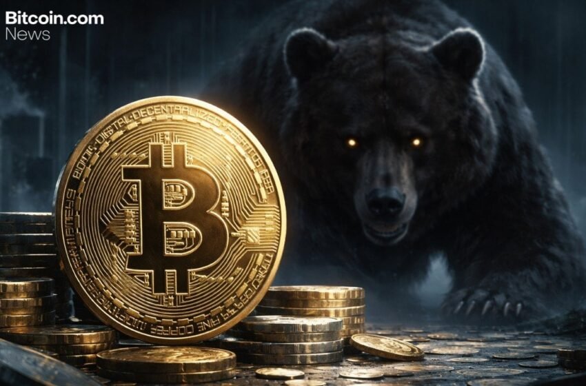  Willy Woo Issues Stark Warning: BTC Bear Trend Deepens Across 3 Phases
