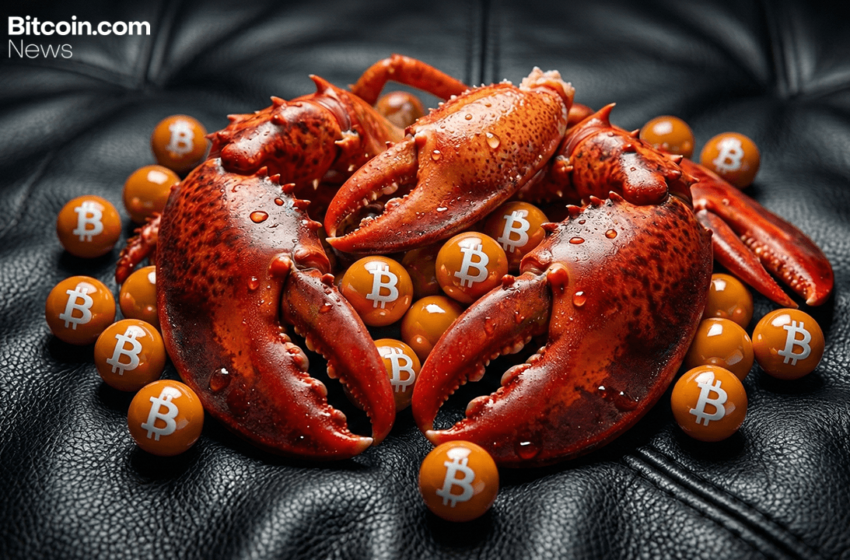  Openclaw’s 20+ Crypto Capabilities — and Why Verification Matters