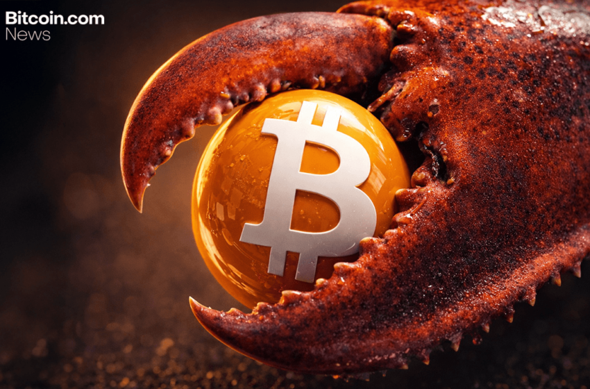  Autonomous AI Agents Are Using Crypto at Scale—and Breaking Things Along the Way