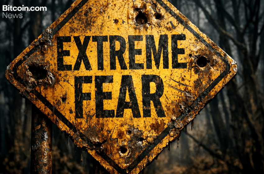  Crypto Sentiment Hits Rock Bottom as Fear and Greed Indexes Flash ‘Extreme Fear’