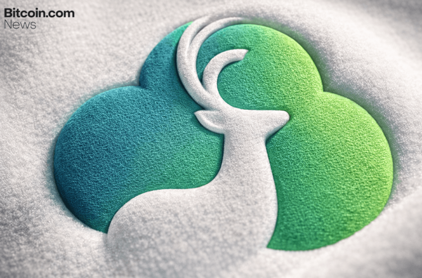  Bitdeer Dumps 943 BTC, Falls off the Bitcoin Treasury Rankings