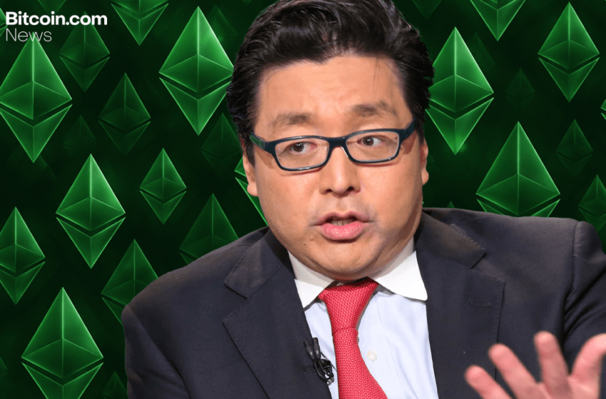  Digital Asset Treasury Firm Bitmine Adds 51,162 ETH Amid Market Pullback