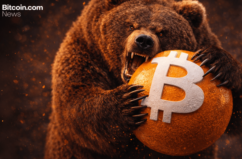  Bitcoin Slips Deeper Into Bear Territory, Cryptoquant Analysis Shows