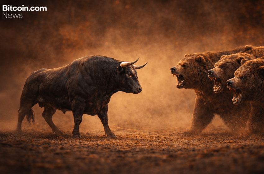  Dead Cat Bounce or Bottoming Out? Bitcoin Bulls Face Harsh Reality Check